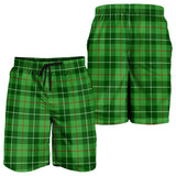 Clan Boyle Tartan Mens Shorts N1127