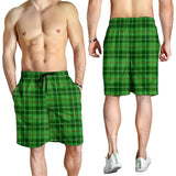 Clan Boyle Tartan Mens Shorts N1127