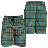 Clan Brisbane modern Tartan Mens Shorts N1126