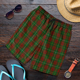 Clan Bruce Hunting Tartan Mens Shorts N1117