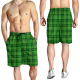 Clan Galloway Tartan Mens Shorts N881